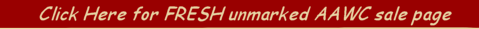 Return to a FRESH, umarrked  COPY of the AAWC Sale page